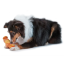 Petstages Stuffing Free Monkey Mini Dog Toy