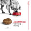 Royal Canin Mature Maxi Breed +5 Dog Food