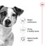 Royal Canin Mini Adult Dog Food - Pet Heaven