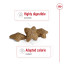Royal Canin Mini Adult Dog Food - Pet Heaven