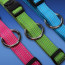 Rogz Utility Side Release Reflective Dog Collar-Colours