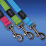 Rogz Utility Fixed Reflective Dog Lead-Colours