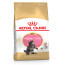 Royal Canin Maine Coon Kitten Food