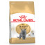 Royal Canin British Shorthair Cat Food