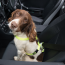 Rogz Safety Belt Clip-Black