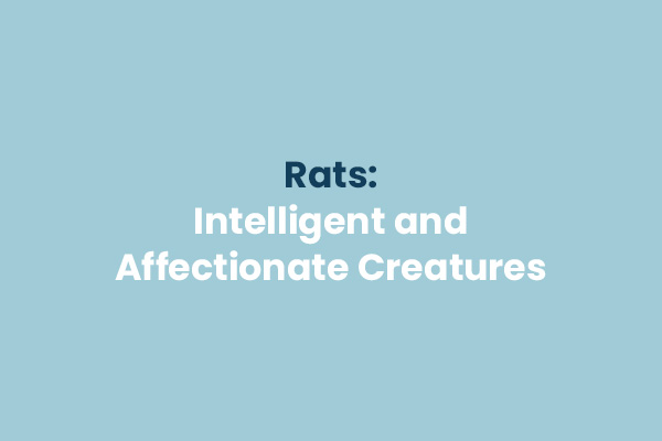 Rats