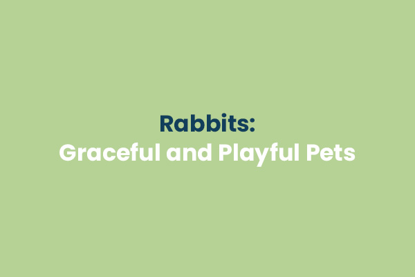 Rabbits
