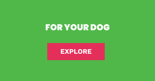 13th Birthday deals on dog food