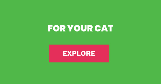 13th Birthday deals on cat food