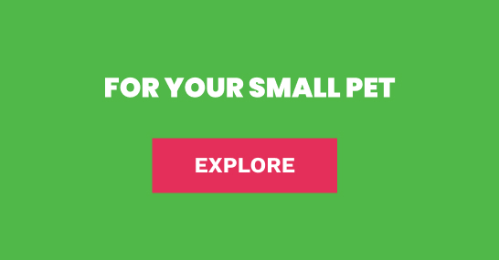 13th Birthday deals on small pet food