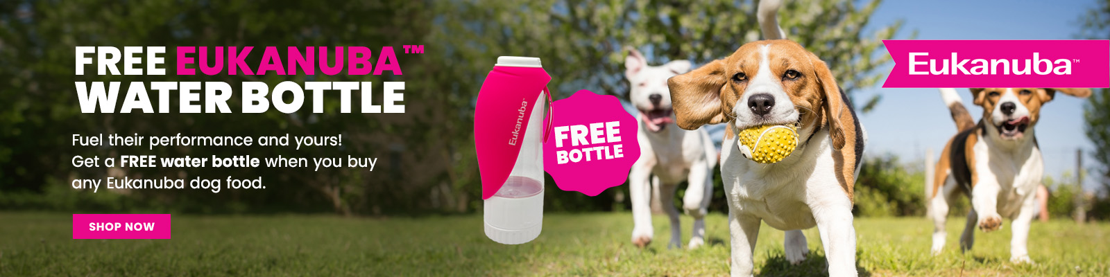 Shop Eukanuba Puppy Food