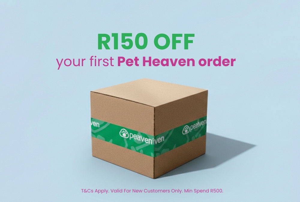 Coupon 2