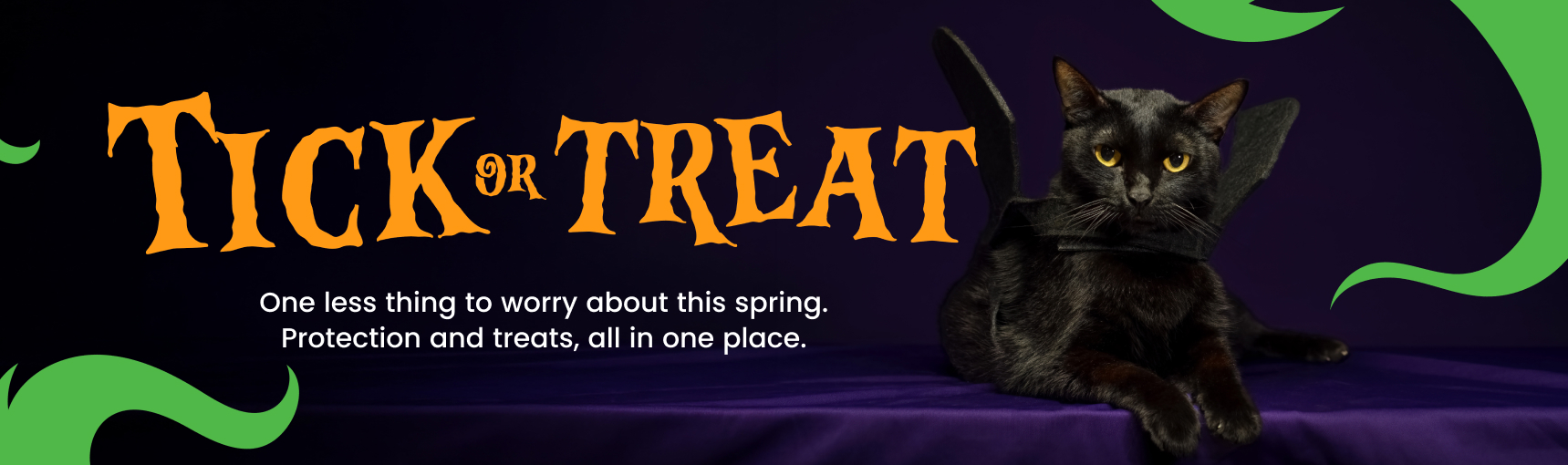 Pet Heaven Trick or Treat. Shop our Halloween deals.