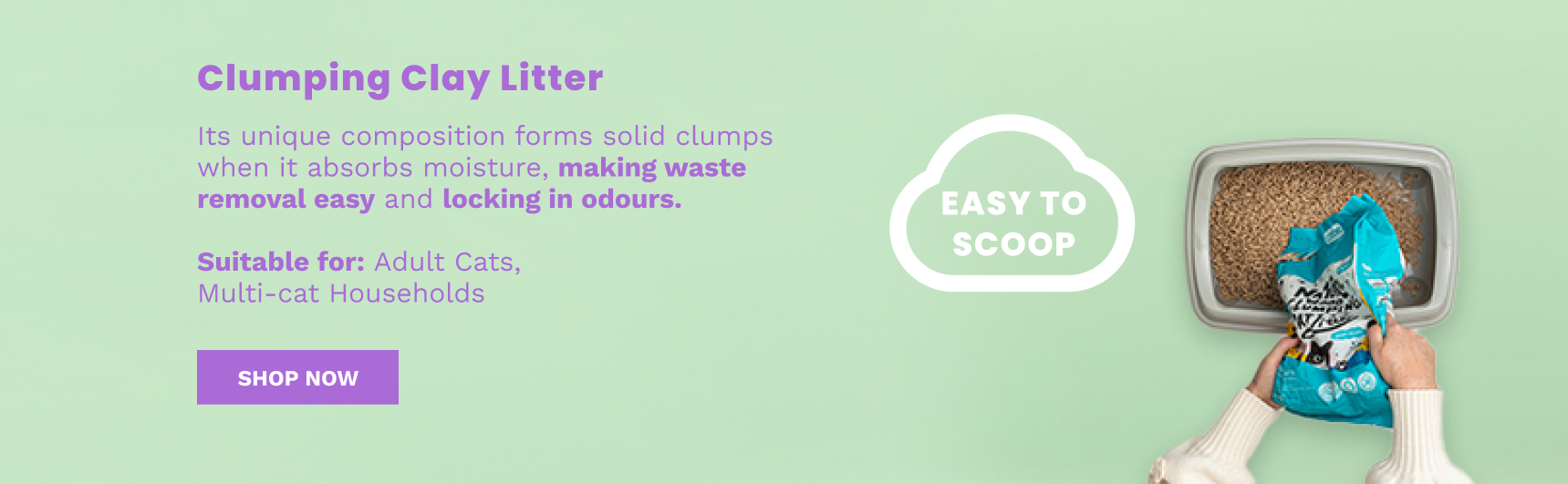 Shop Clay-based Cat Litter South Africa