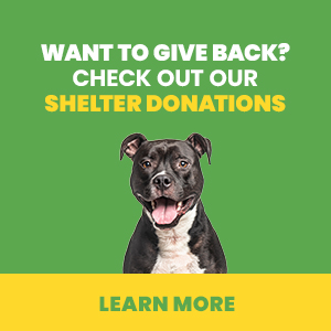 New Customer Discount