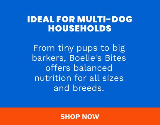 Fun dog toys and bowls on promotion at the Wag Tag Sale