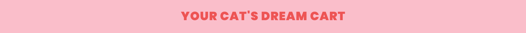 Header 2 Banner