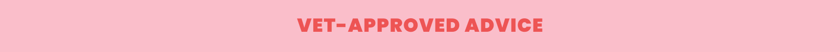 Header 3 Banner