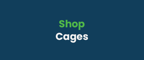 Bird Cages