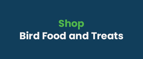 Bird Accessories & Feeders