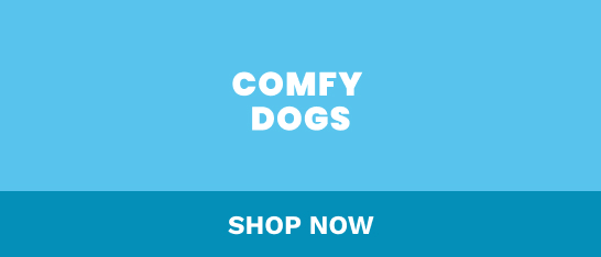 Trendy dog clothing on sale during the Wag Tag event