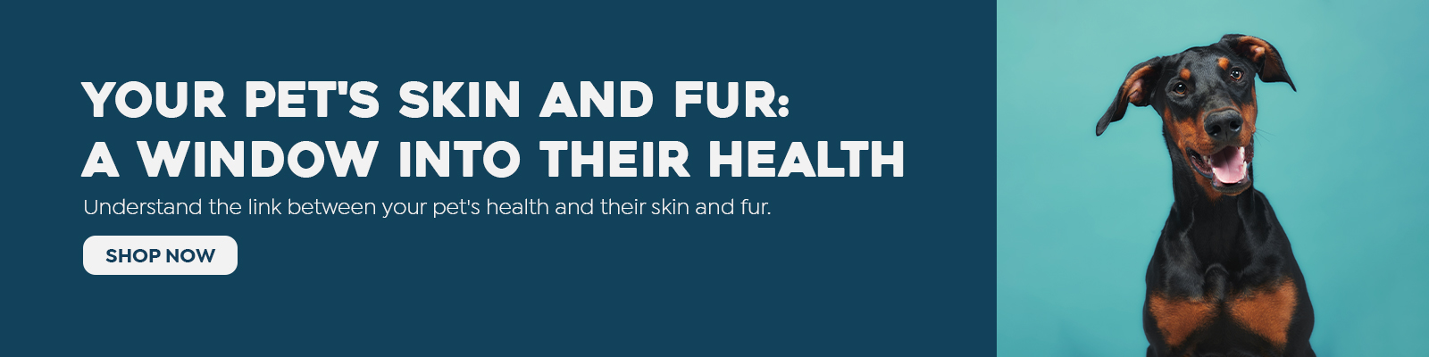 Skin and Coat Health