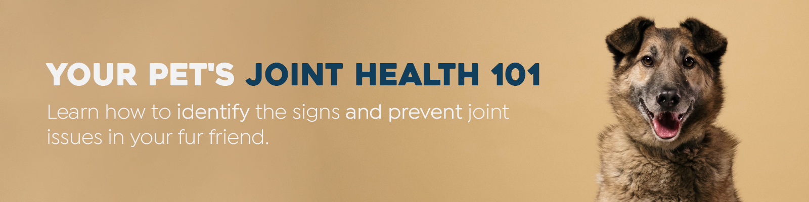 Joint Health