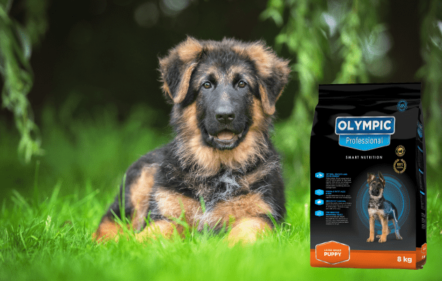Olympic Professional - Large Puppy