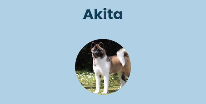 Shop Other Pet Deals