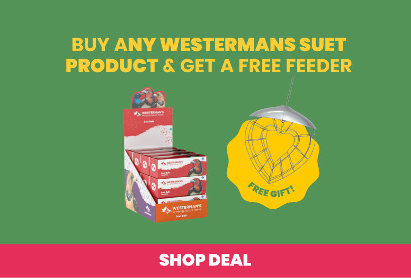 Buy any Westermans suet product and get a free feeder