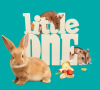 Little One