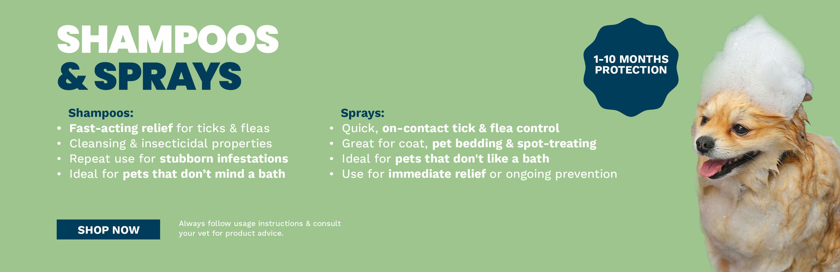 Shampoo Spray Tick and Flea Treatment South Africa
