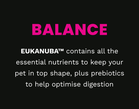 Eukanuba Puppy Food