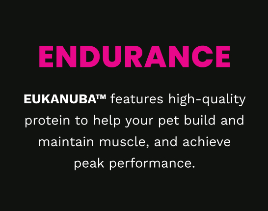 Eukanuba Adult Dog Food