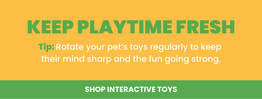 Interactive toys