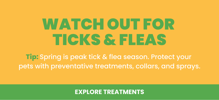 Tick and flea treatments
