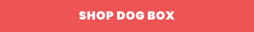 Comfortable dog beds available in the Wag Tag Sale
