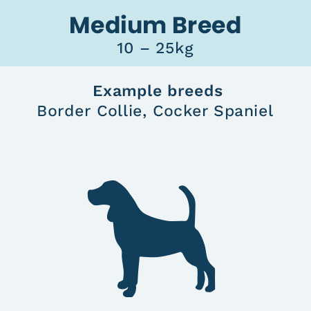 Royal Canin Dogs