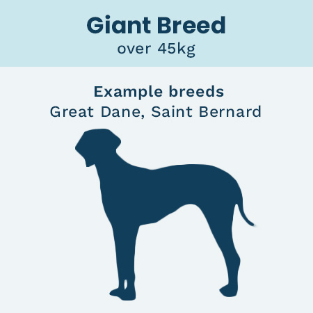 Royal Canin Puppy