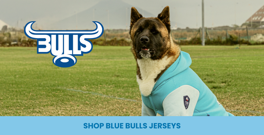 Dog Bulls Rugby Jersey South Africa