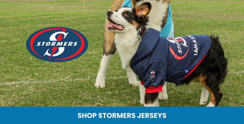 Stormers Dog Rugby Jersey