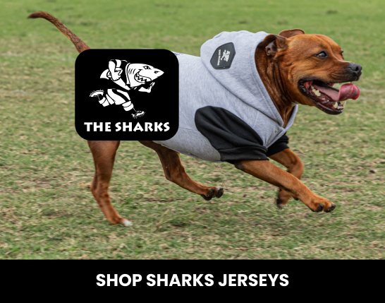 Sharks Dog Rugby Gear