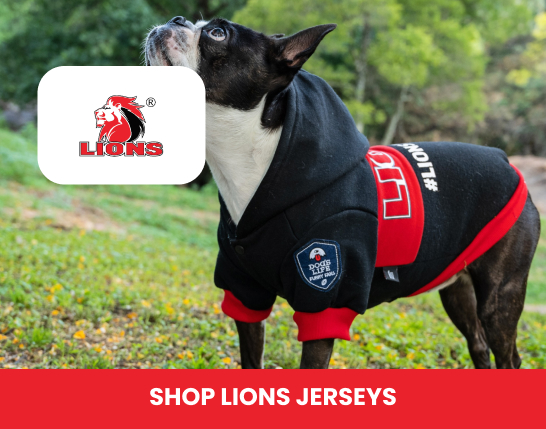 Lions Dog Rugby Jersey